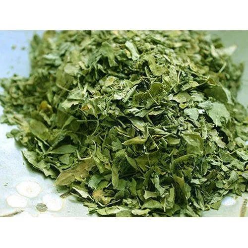 Green Natural Dried Moringa Leaves, for Medicine, Cosmetics, Packaging Type : Bag