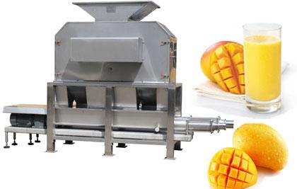 Mango Pulp Processing Machine