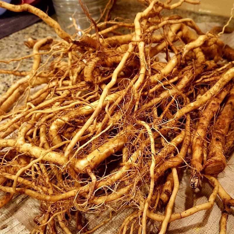 Dried Ashwagandha Root, Grade : Medicinal Grade