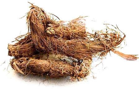 Dried Jatamansi Root