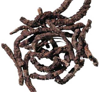 Dried Kutki Root