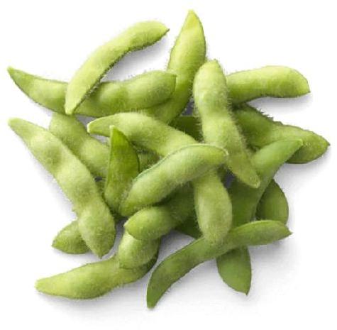 Natural Fresh Soybeans, Packaging Type : Ganny Bag