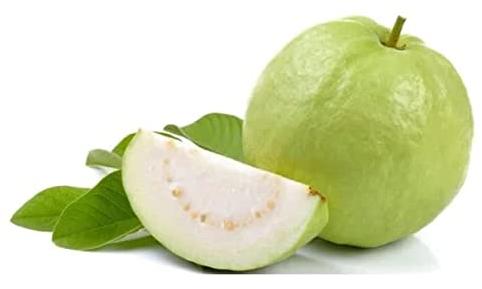 Organic fresh guava, Color : Green