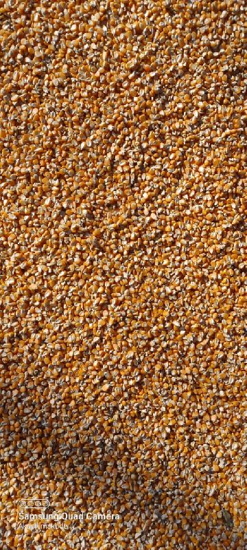 Maize cattle feed, for Animal Food, Bio-fuel Application, Human Food, Style : Dried