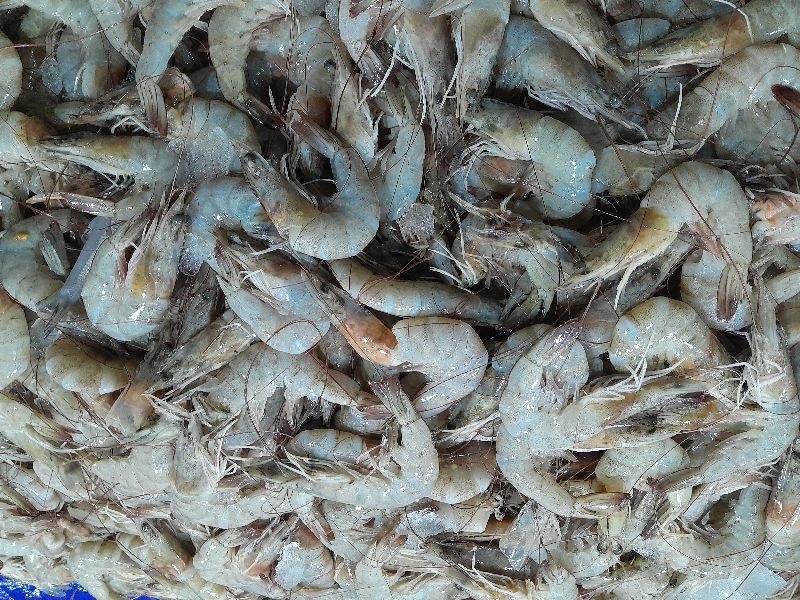 Sam Chopped prawns, for Food, Style : Fresh
