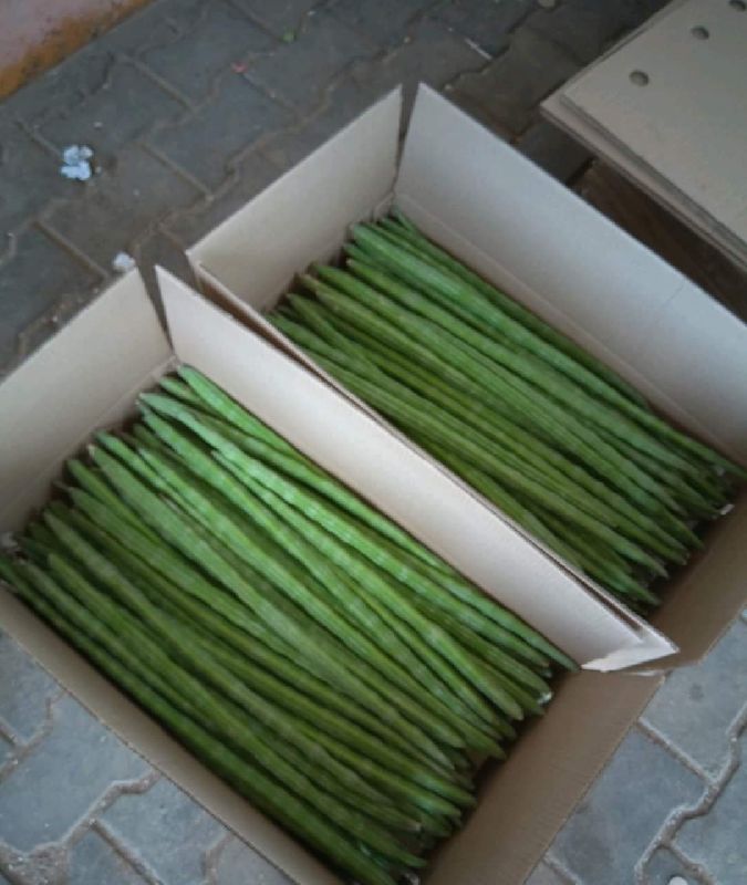 Natural a grade drumstick vegetable, for Nutrition, Color : Green