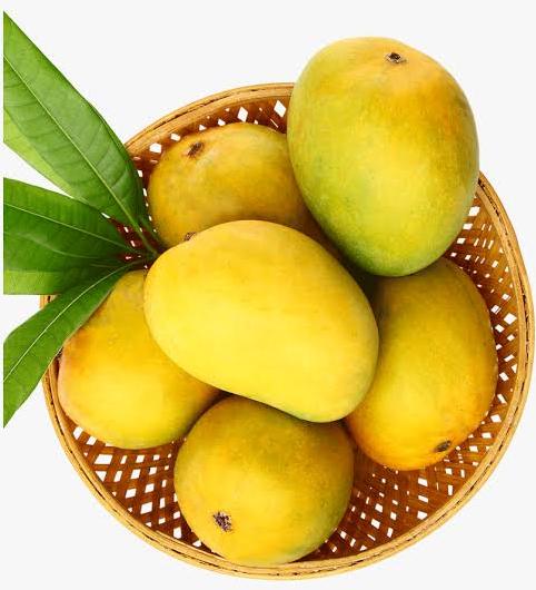 Yellow A Grade Mango, Carton, Packaging Size: 5 Kg