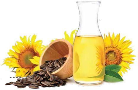 High Oleic Sunflower Oil Powder 70%, for Nutrition Bars