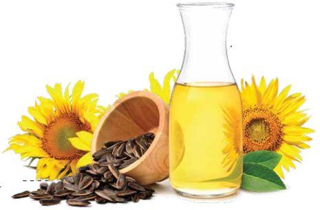 High Oleic Sunflower Oil Powder 70%