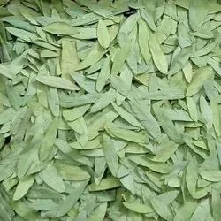 Cassia angustifolia / Senna Leaves