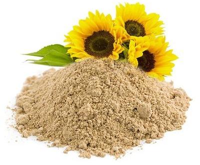Lecithin Sunflower Powder, for Cosmetic, Packaging Type : Plastic Packet