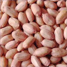 Groundnut Kernels, for Butter, Cooking Use, Making Oil, Feature : Fine Taste