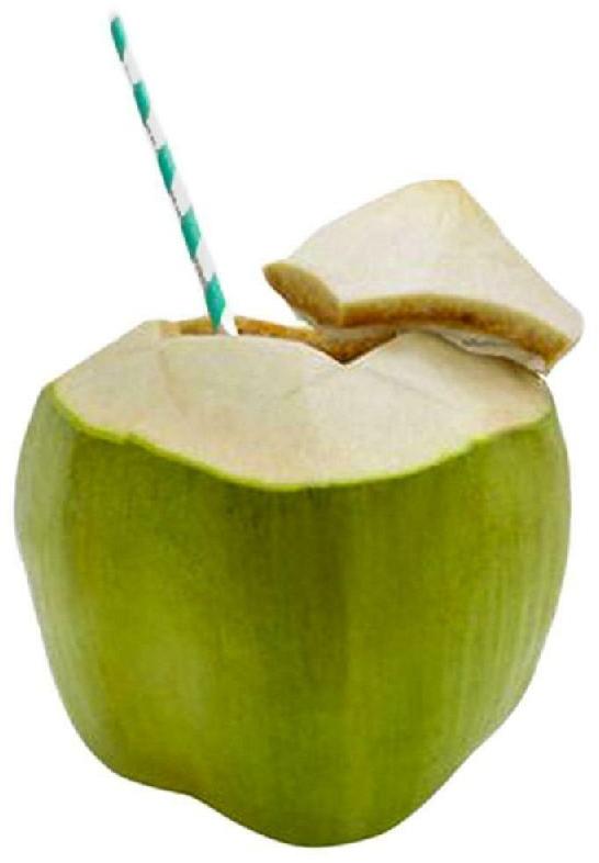 tender coconut