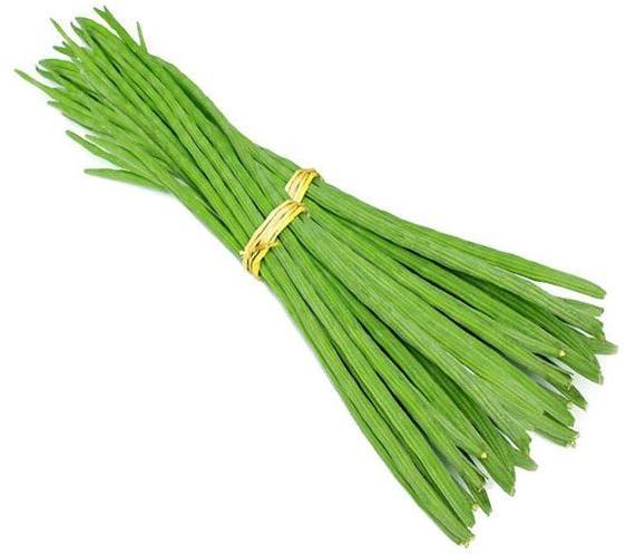 Natural Fresh Drumstick, for Human Consumption, Feature : Anti-viral, Antibiotic, Perfect Composition