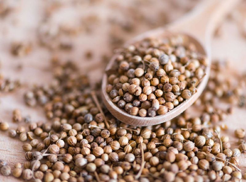 Organic coriander seeds, for Spices, Packaging Type : Paper Box, Plastic Packet