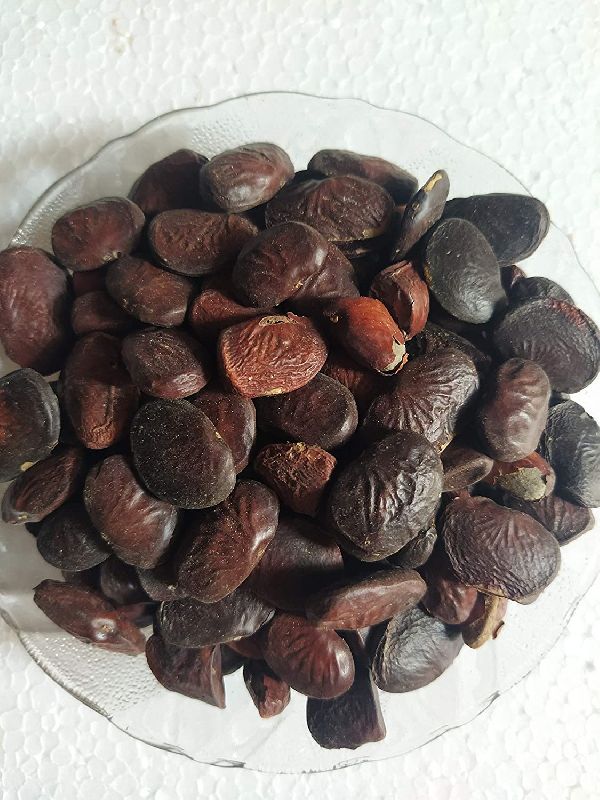 Organic Karanj Seeds, for Ayurvedic Medicine, Purity : 99%