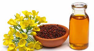 mustard oil