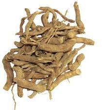 Natural Sarpagandha Roots, for Ayurveda, Medicinal, Style : Natural