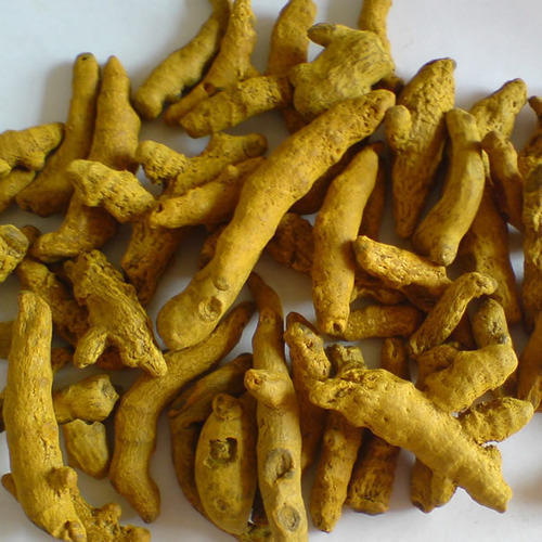 Unpolished Raw Organic turmeric finger, for Food Medicine, Variety : Visakhapatnam