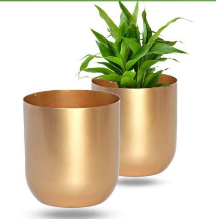 Polished Gold Finish Metal Pot, Pattern : Plain