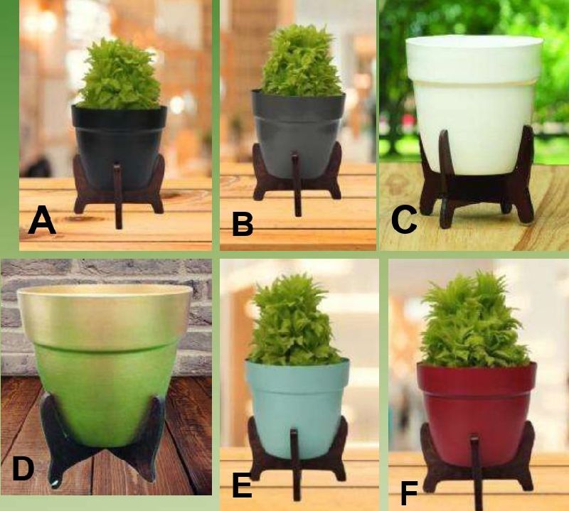 Polished Plain Pot with Wooden Stand, Packaging Type : Cartoon Box