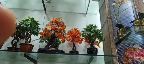Artificial Flower Bunch And Bonsai Plant