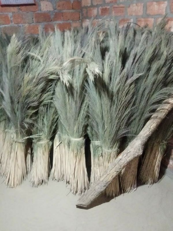 broom grass, Color Brown, Green RS ENTERPRISES, Delhi