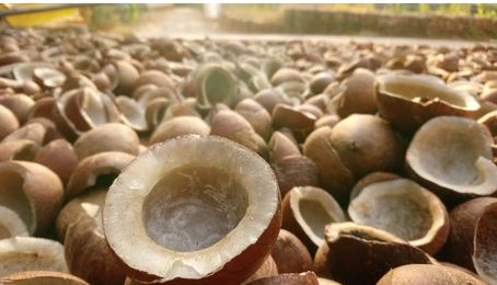 Soft Common copra coconut, for Cosmetics, Medicines, Pooja, Feature : Free From Impurities, Freshness