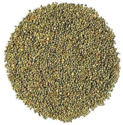 Vedha Natural Foxtail Millet Seeds, Style : Dried