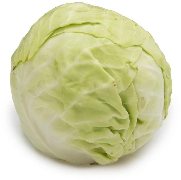 Natural Fresh Cabbage, for Cooking, Packaging Size : 10-20kg