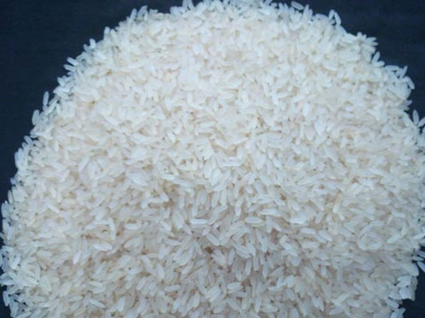 Vedha Natural Gujarat 17 Basmati Rice, for Cooking, Style : Dried