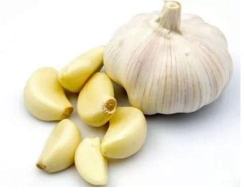 fresh garlic
