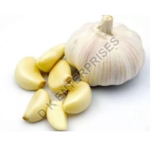 fresh garlic