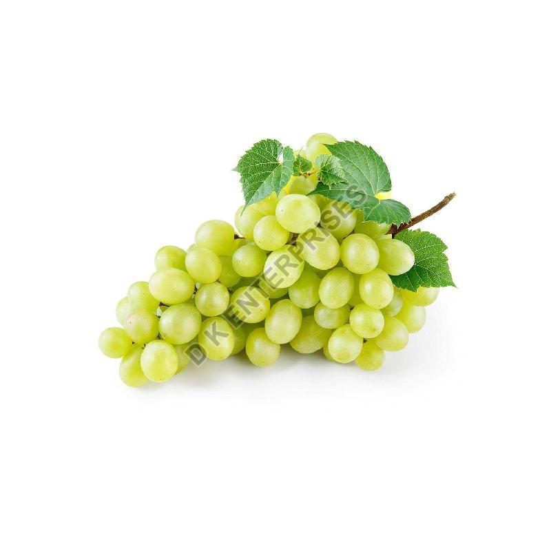 Organic Fresh Green Grapes, for Human Consumption, Packaging Type : Plastic Packet