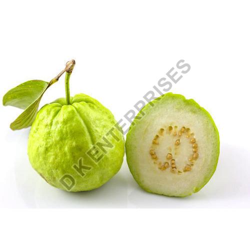 Green Organic Fresh Guava, for Human Consumption, Packaging Type : Plastic Packet, Paper Box