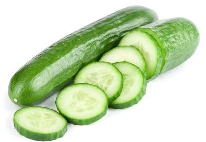 Organic Fresh Cucumber,fresh cucumber, for Good Health, Hygienically Packed