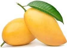 Organic Fresh Mango, for Human Consumption