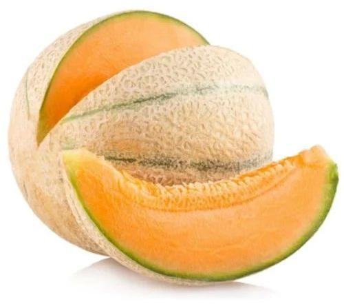 fresh muskmelon