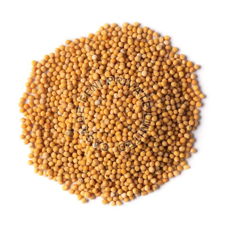 Organic Yellow Mustard Seeds Casa De Feni Pvt. Ltd., Goa