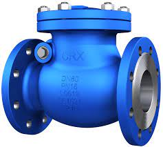 Check Valve