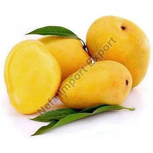 Organic Fresh Mango,fresh mango, for Human Consumption