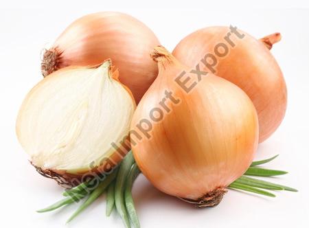 Fresh Yellow Onion, for Cooking, Packaging Type : Net Bags