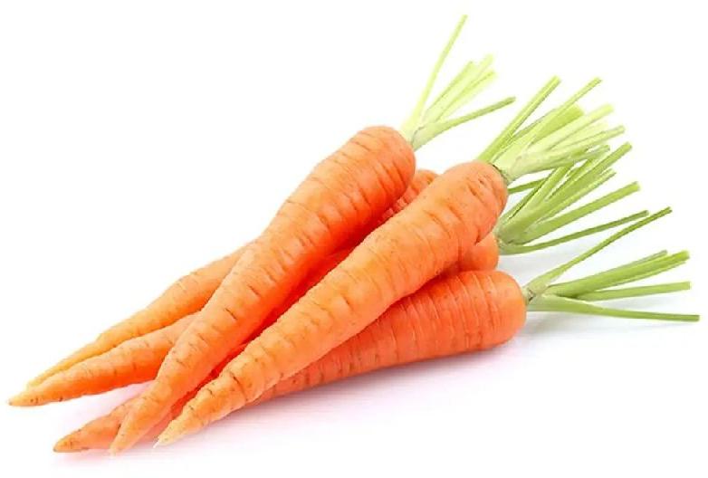 Fresh Carrot, Color : Red
