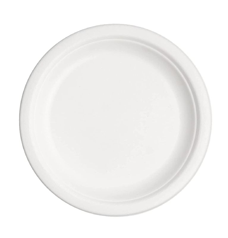 9 Inch Compostable Plain Plates