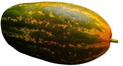 Round Organic Fresh Green Vellary, for Cooking, Style : Natural at Best ...