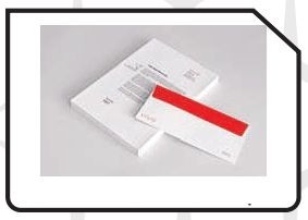 Envelope Digital Printing Services, Color : Multi Color, Multicolor