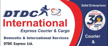 domestic international courier