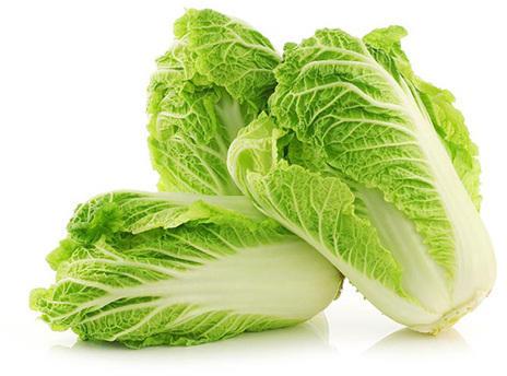 Fresh Chinese Cabbage