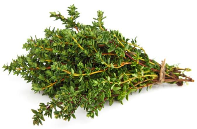 Organic Fresh Thyme, Form : Leaves