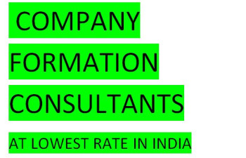 company formation Consultant